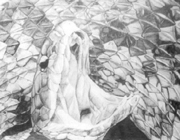 snake